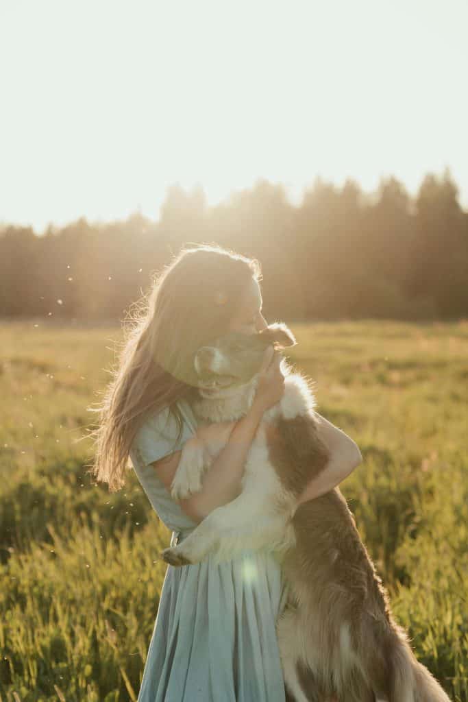 A girl embraces a fluffy dog in a sunlit meadow, capturing a moment of warmth and joy.